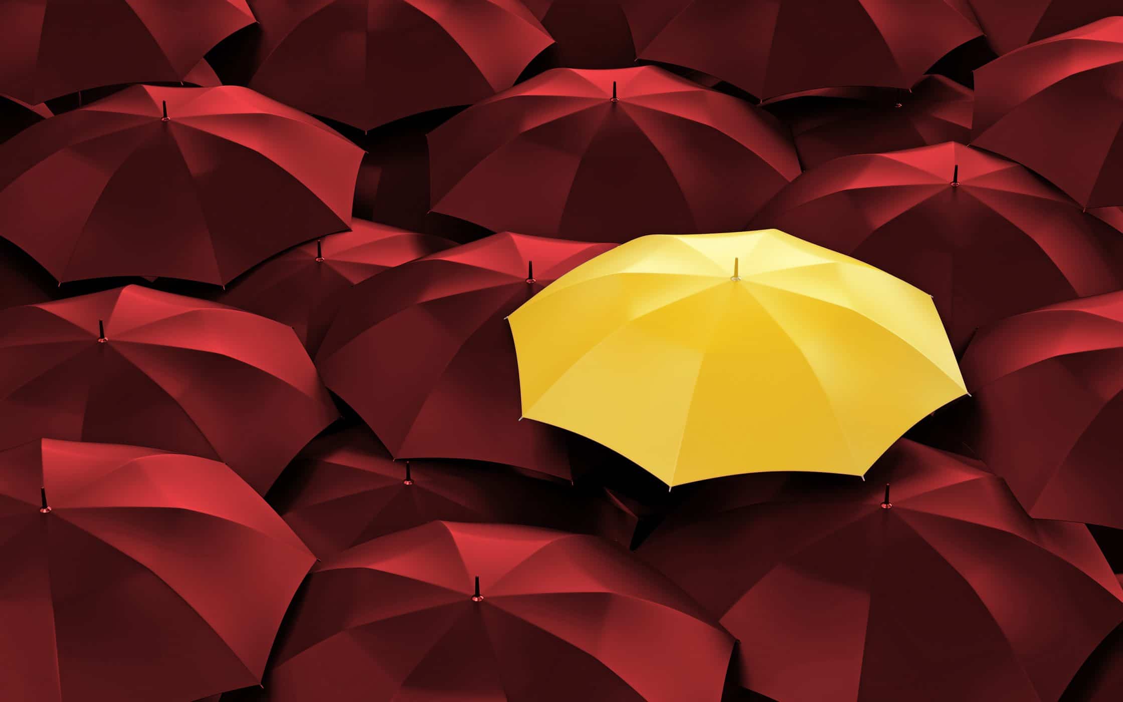 Management Tips: How To Make Your Brand Stand Out In The Market