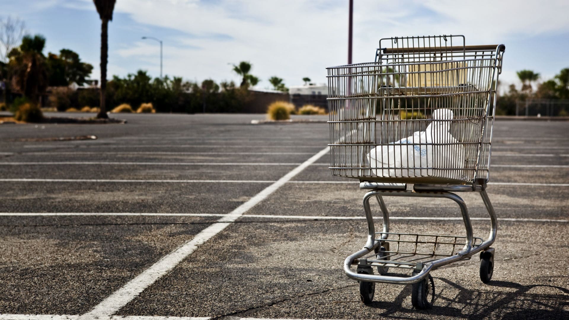 Shopping Cart Abandonment