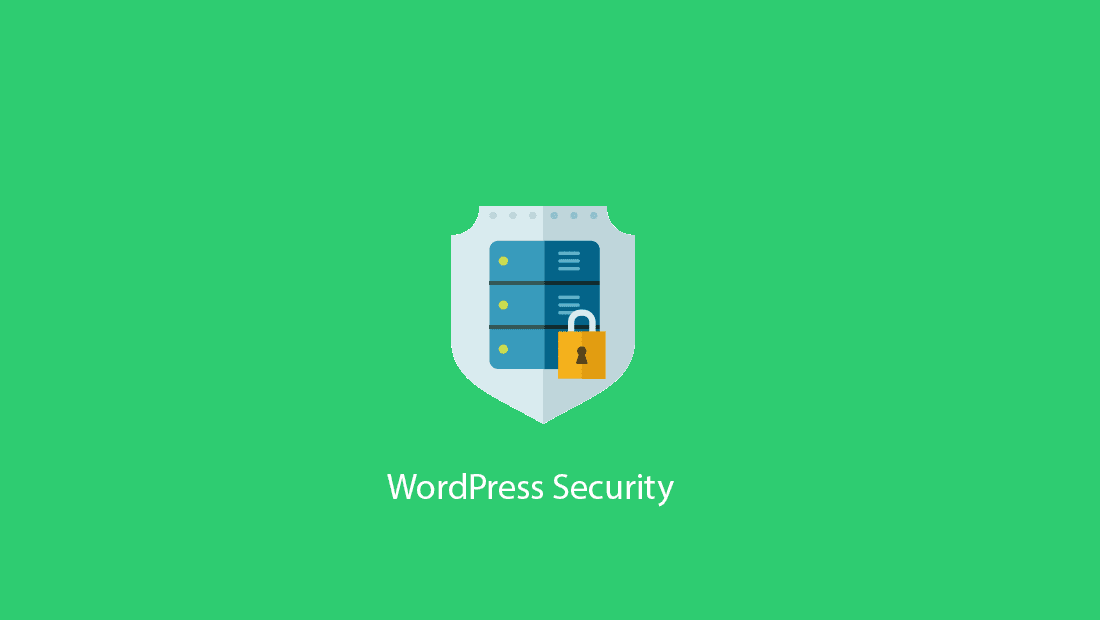 Secure WordPress Website