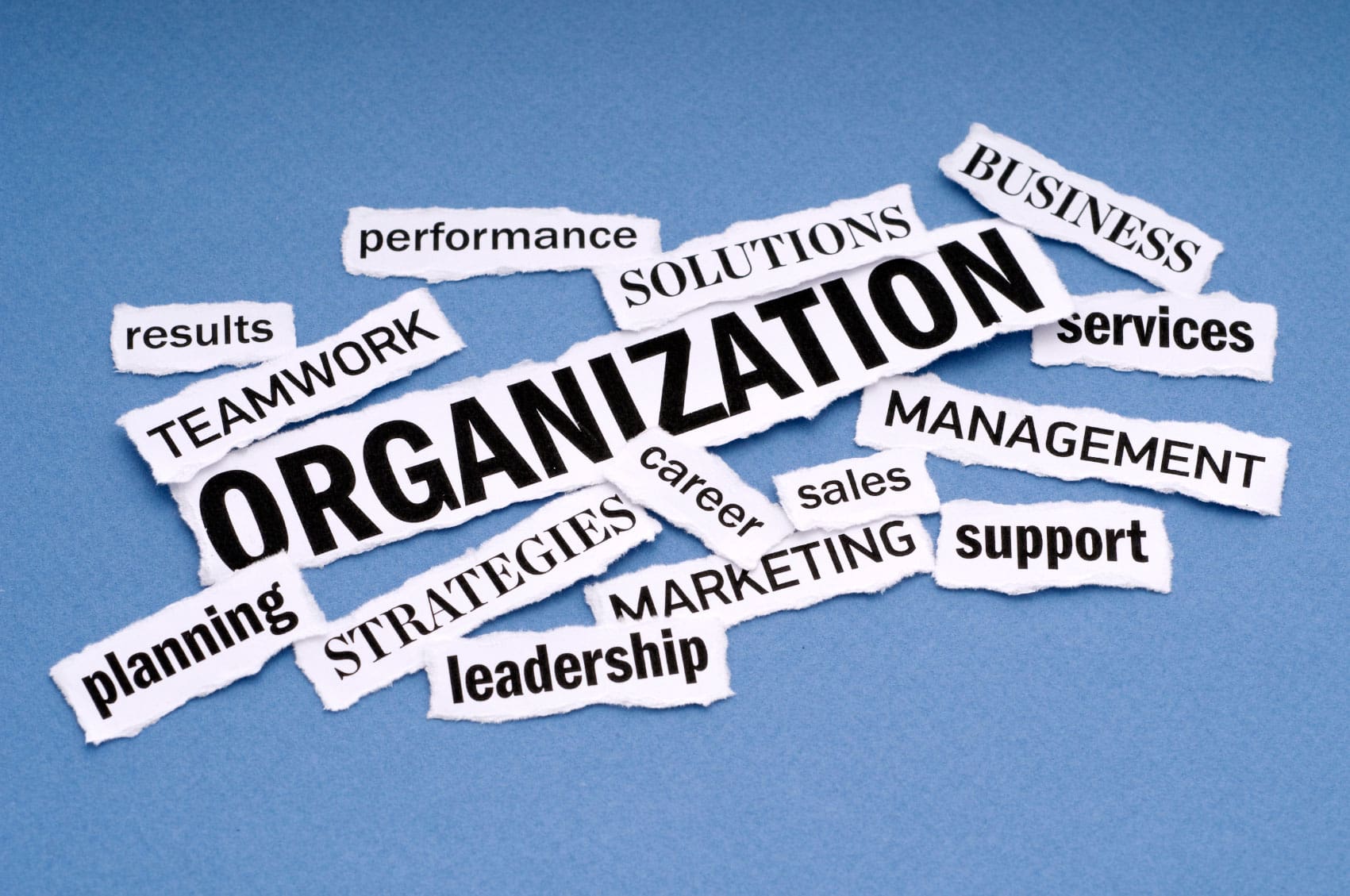 Valuable Tips That Can Help Improve Your Business Organization