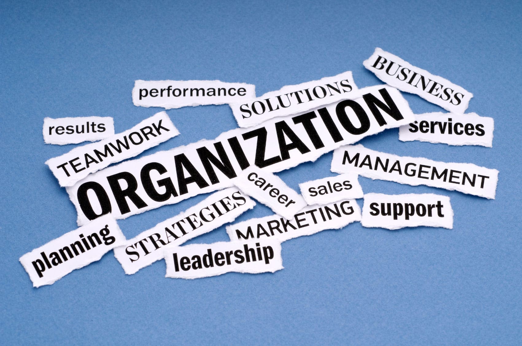 Improve Business Organization