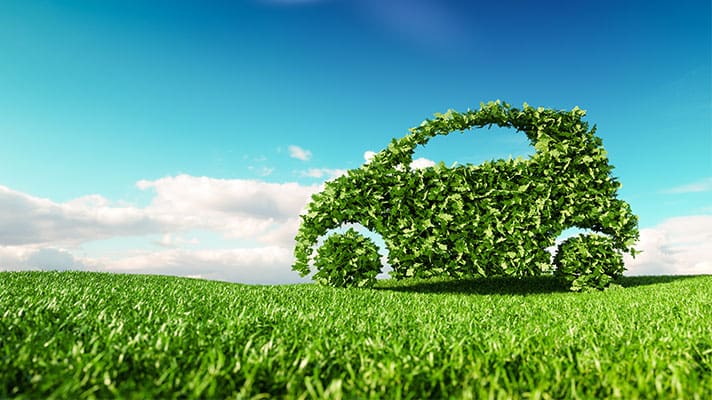 Environment Friendly Business