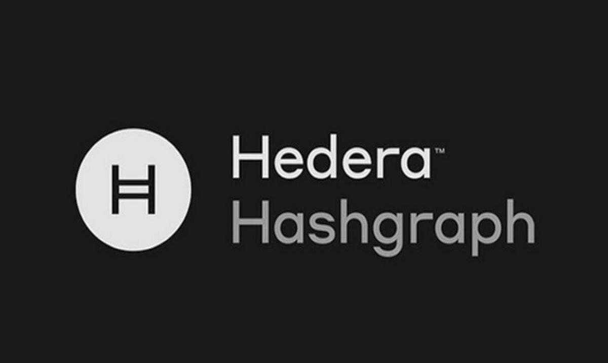 How to Choose a Hedera Hashgraph Wallet